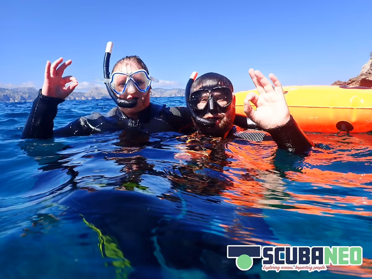 Tour de snorkel con guía (máscara, aletas, tubo, neopreno)