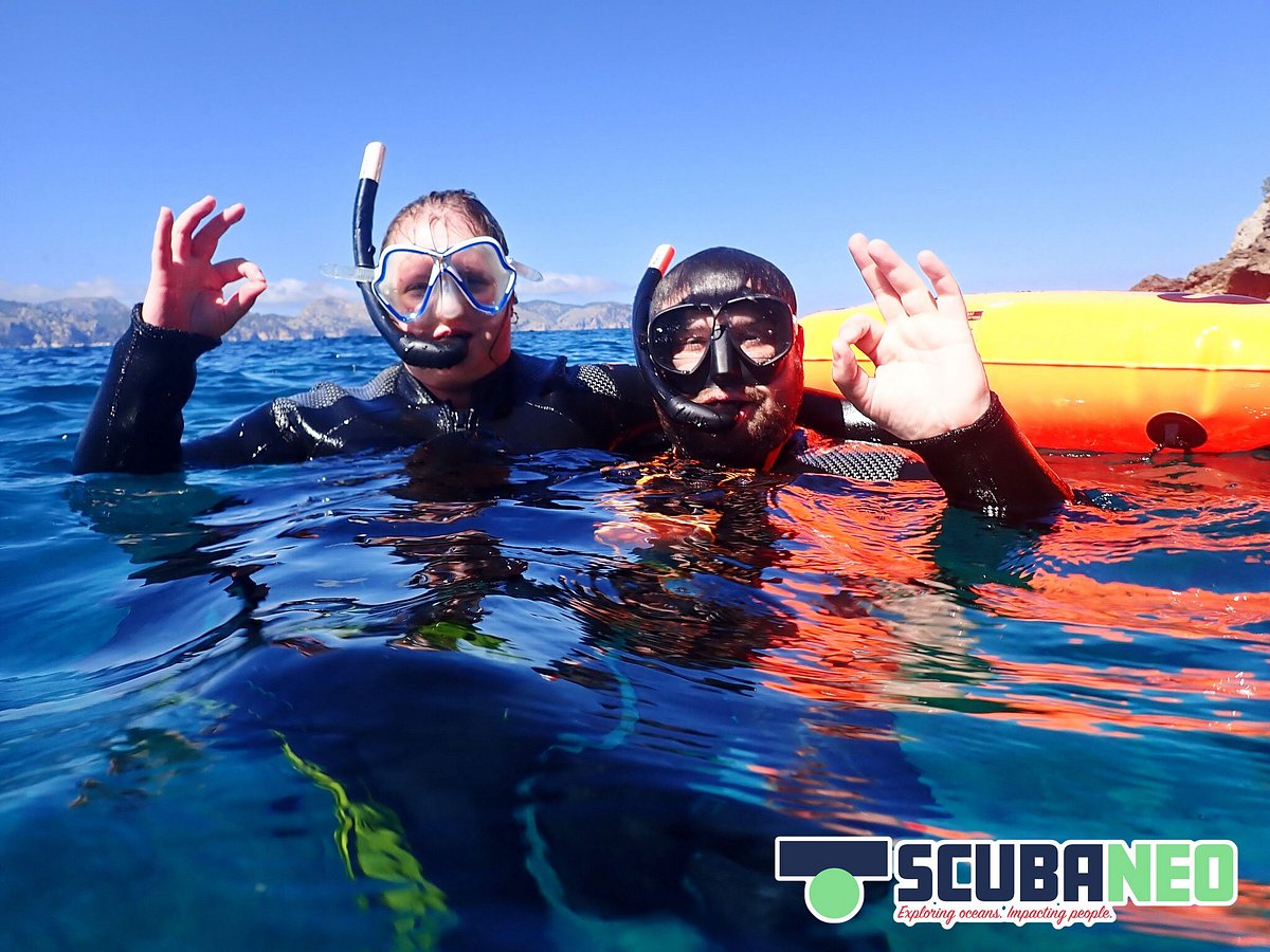 Tour de snorkel individual (máscara, aletas, tubo, neopreno)