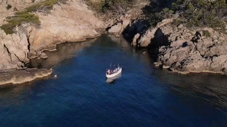 Tour de snorkel con guía (máscara, aletas, tubo, neopreno)