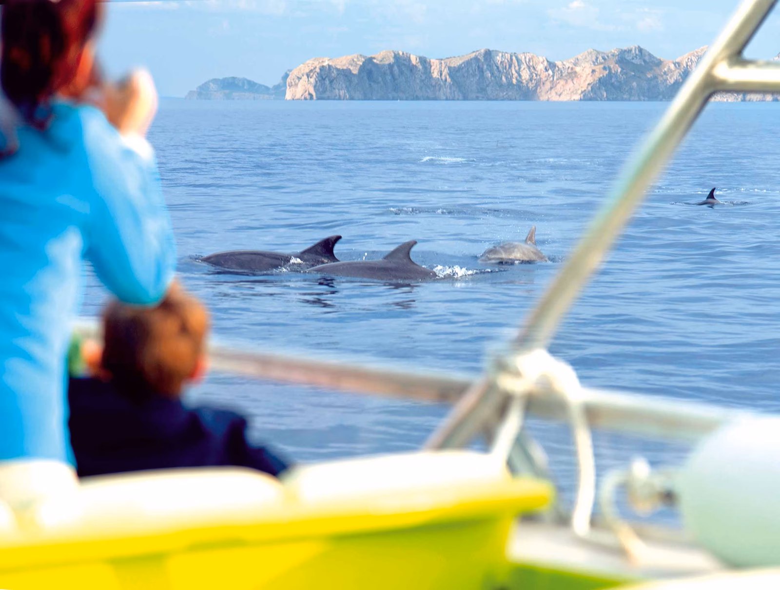 Aventura con delfines