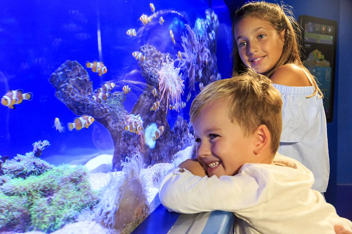 Palma Aquarium