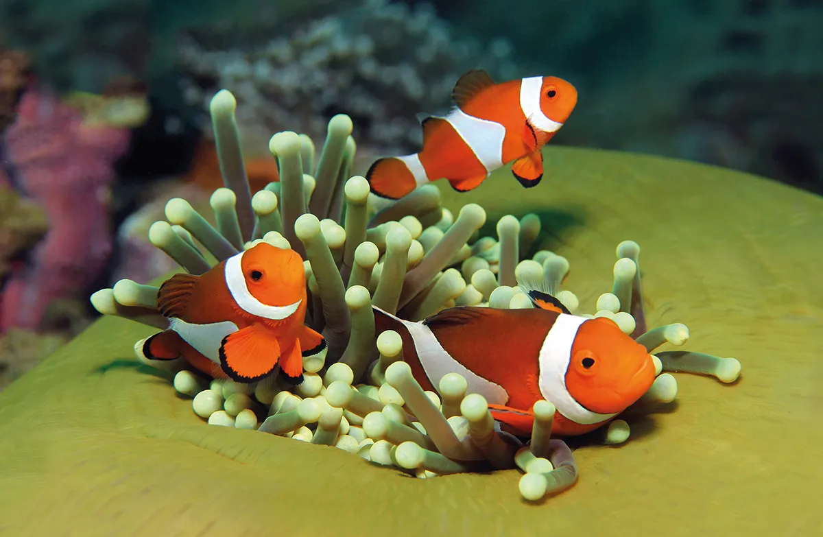 Palma Aquarium
