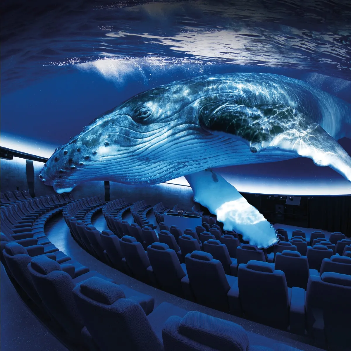 Palma Aquarium