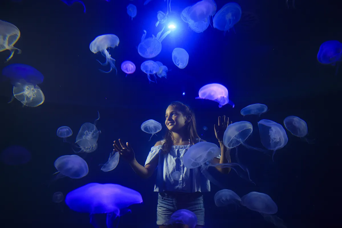 Palma Aquarium