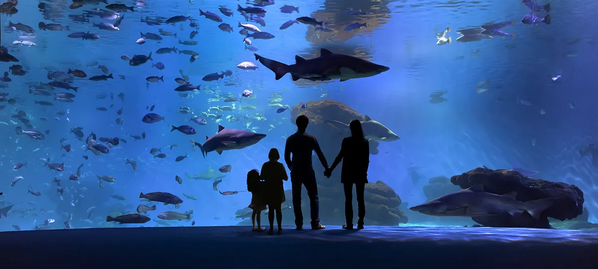Palma Aquarium
