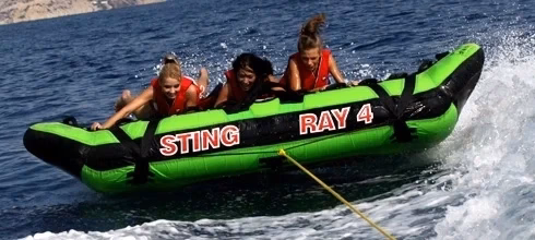 Sting