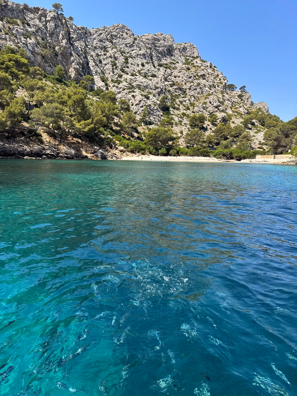 Excursión privada en Llaut Mallorquín de Madera (4h)