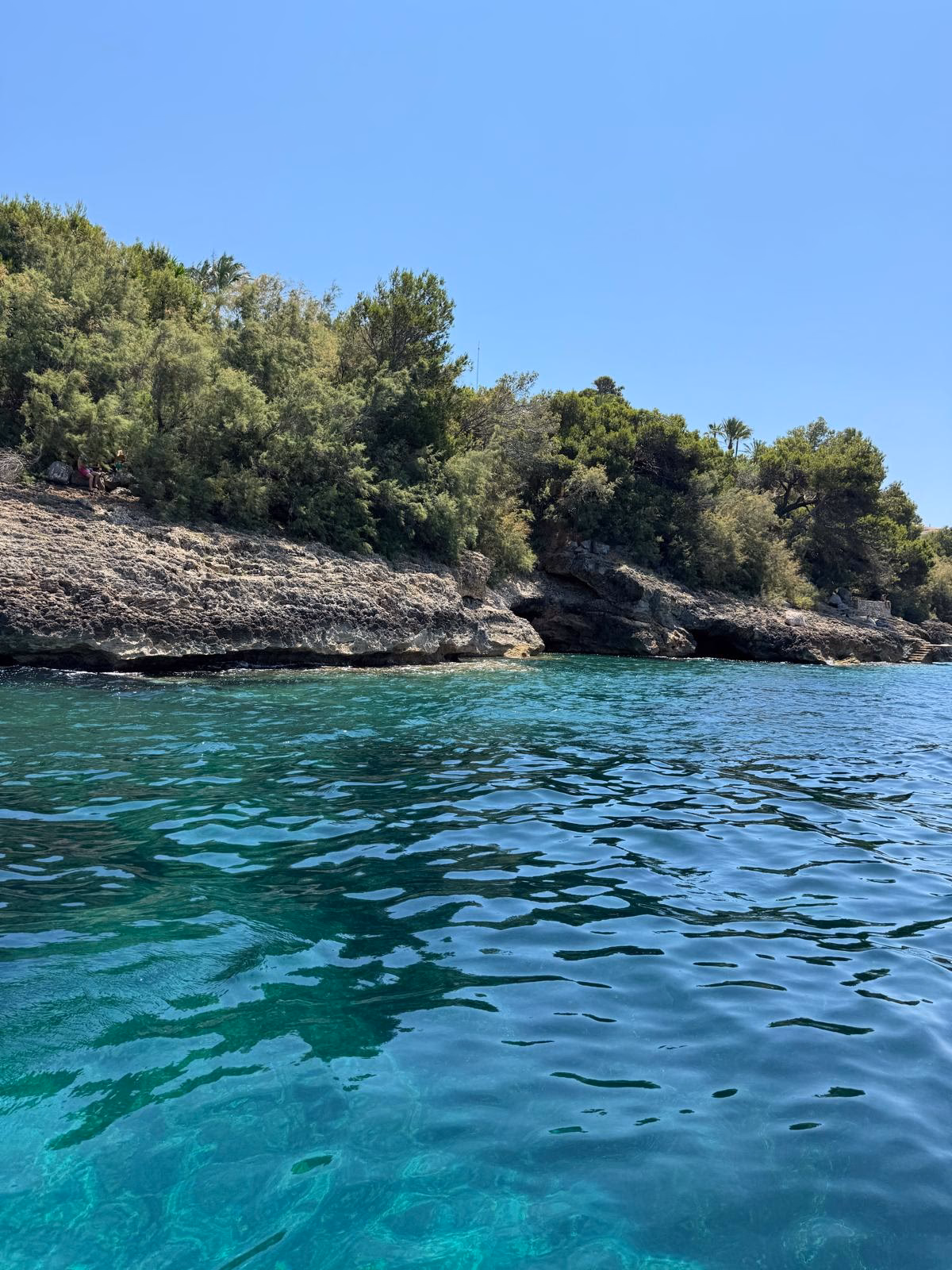 Excursión privada en Llaut Mallorquín de Madera (4h)