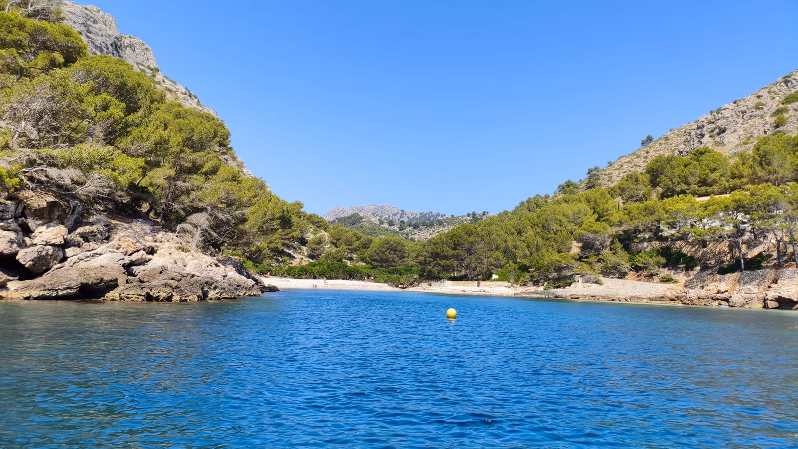 Excursión privada en Llaut Mallorquín de Madera (4h)