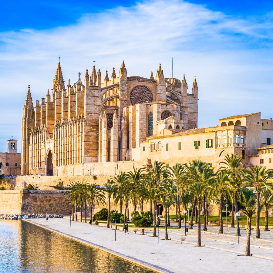 Palma a tu ritmo + Valldemossa