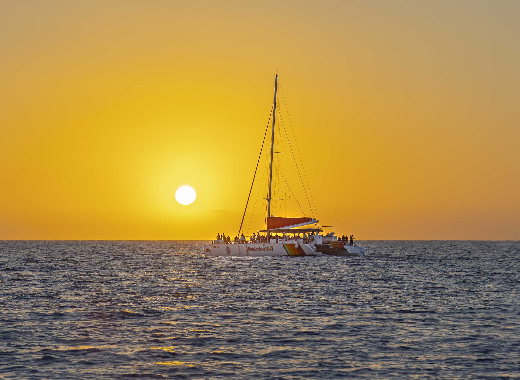 Catamarán a vela