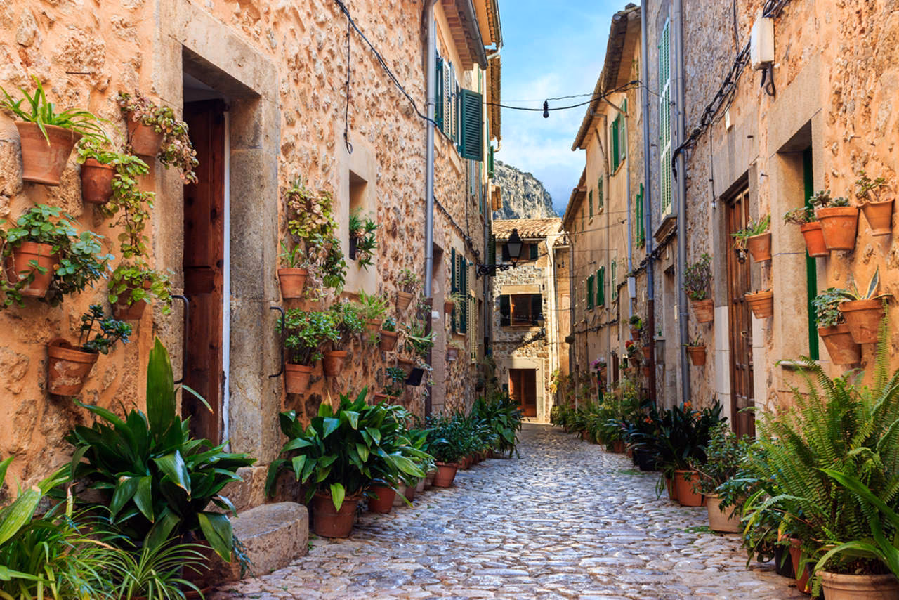 Palma a tu ritmo + Valldemossa