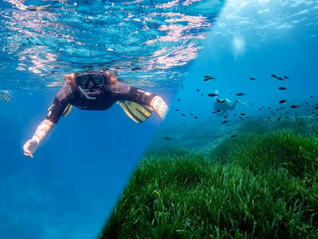 Dip and dive (Combo snorkel y buceo) — Sin certificación